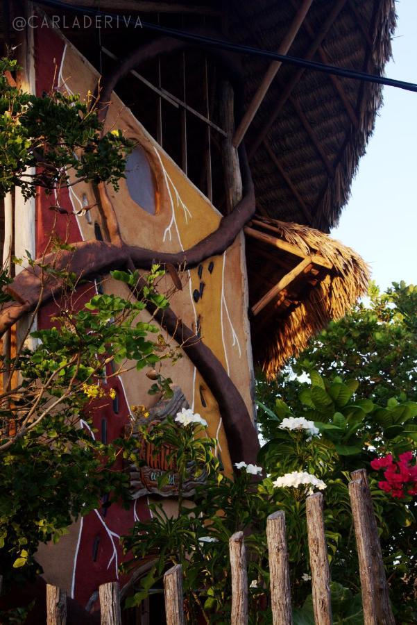 Raizes Eco Hostel バーハ・グランデ エクステリア 写真