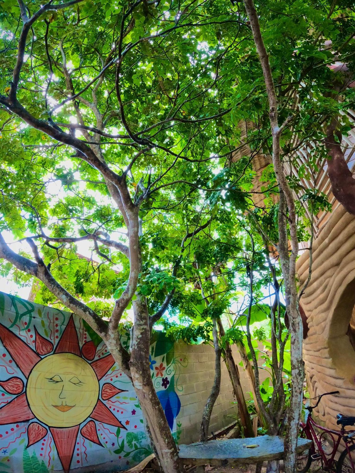 Raizes Eco Hostel バーハ・グランデ エクステリア 写真