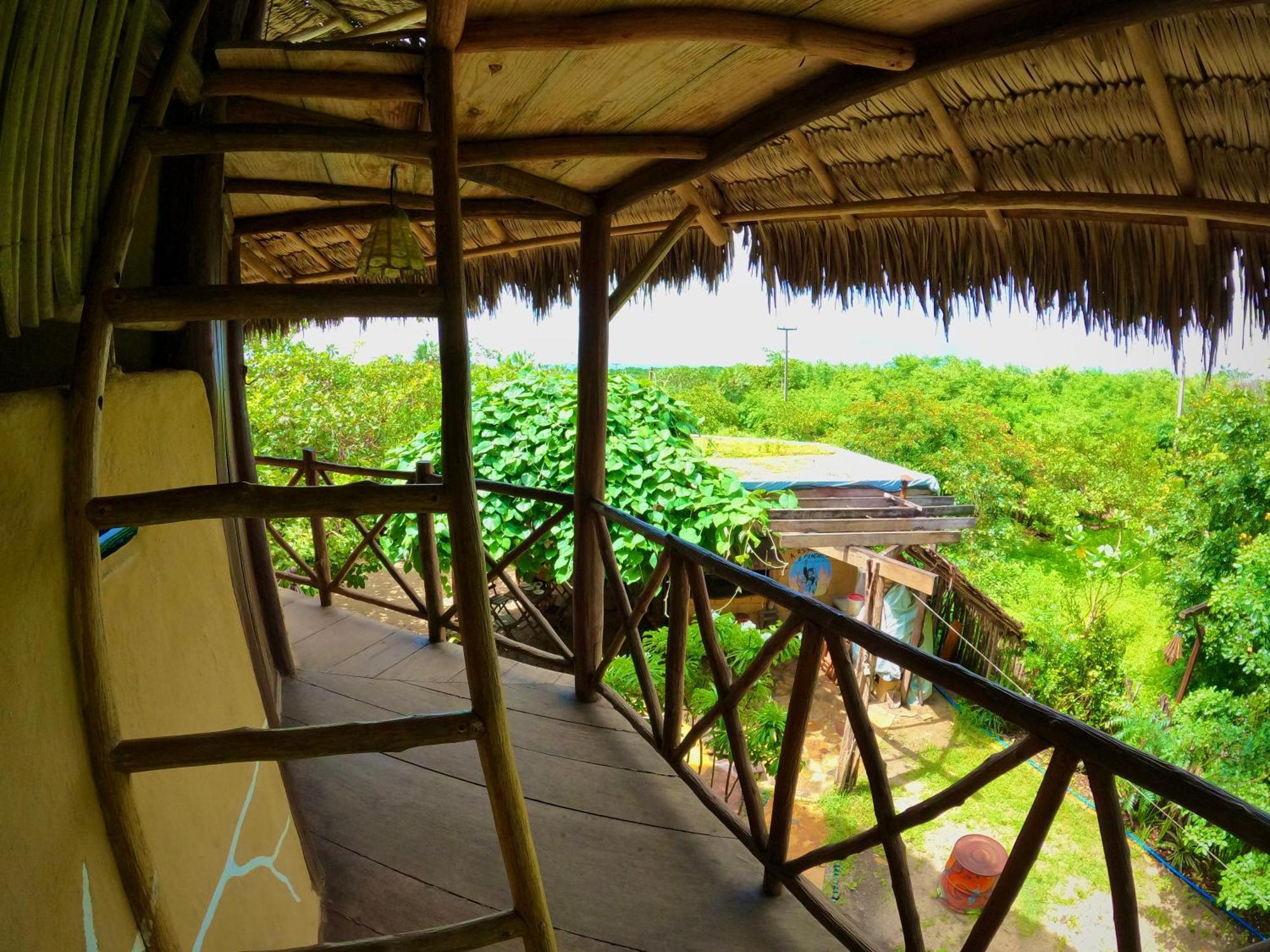Raizes Eco Hostel バーハ・グランデ エクステリア 写真
