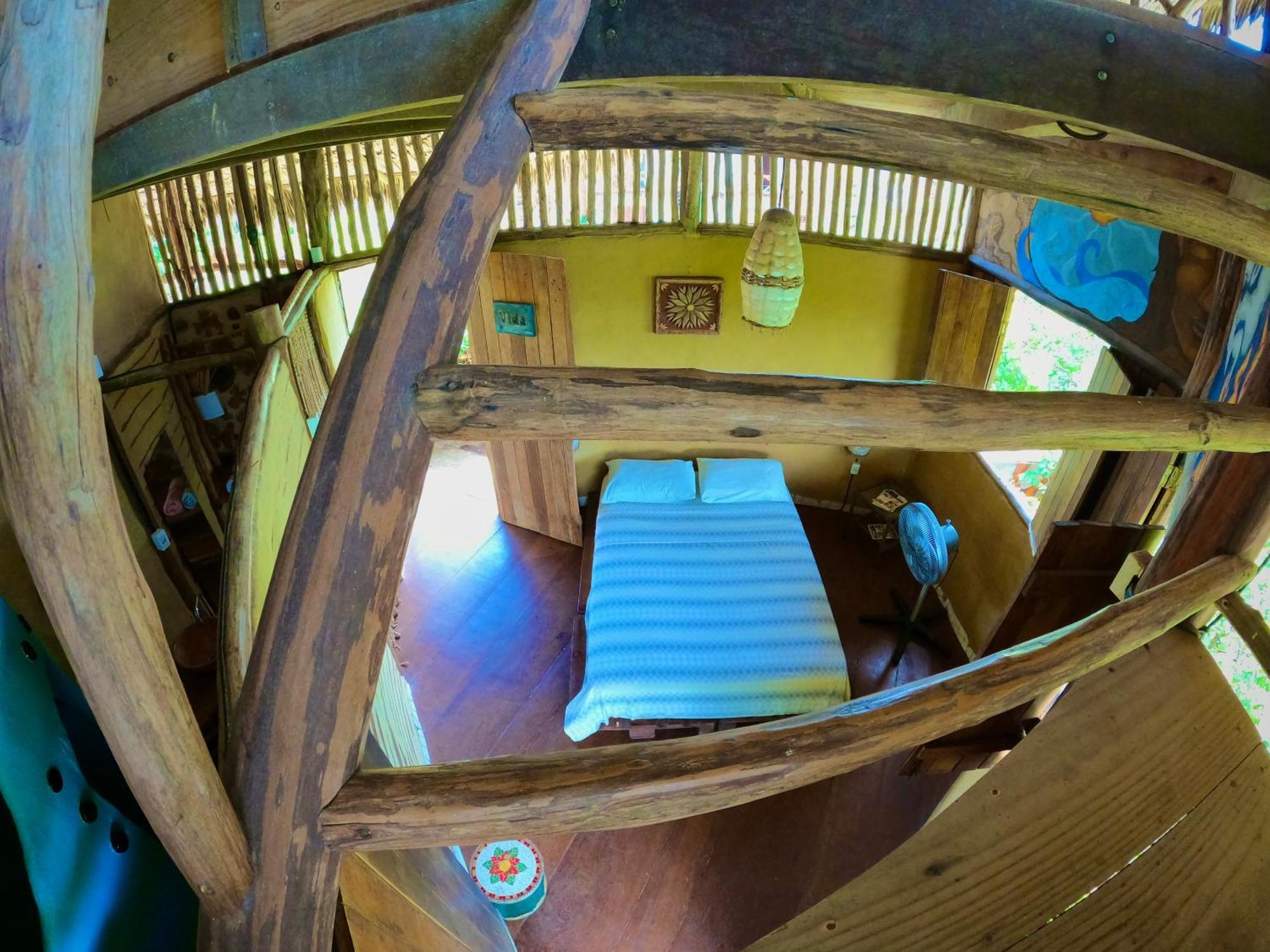 Raizes Eco Hostel バーハ・グランデ エクステリア 写真