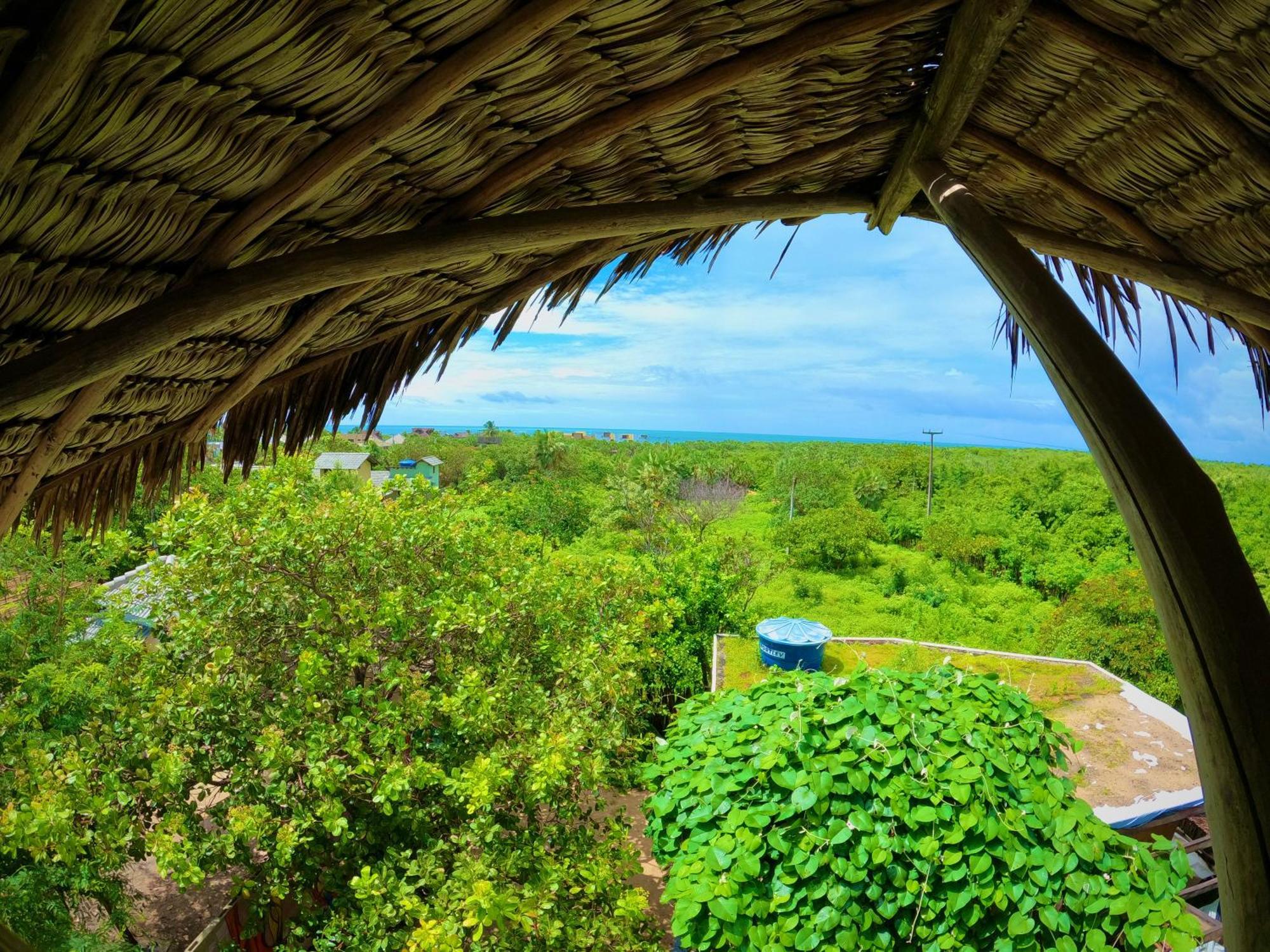 Raizes Eco Hostel バーハ・グランデ エクステリア 写真