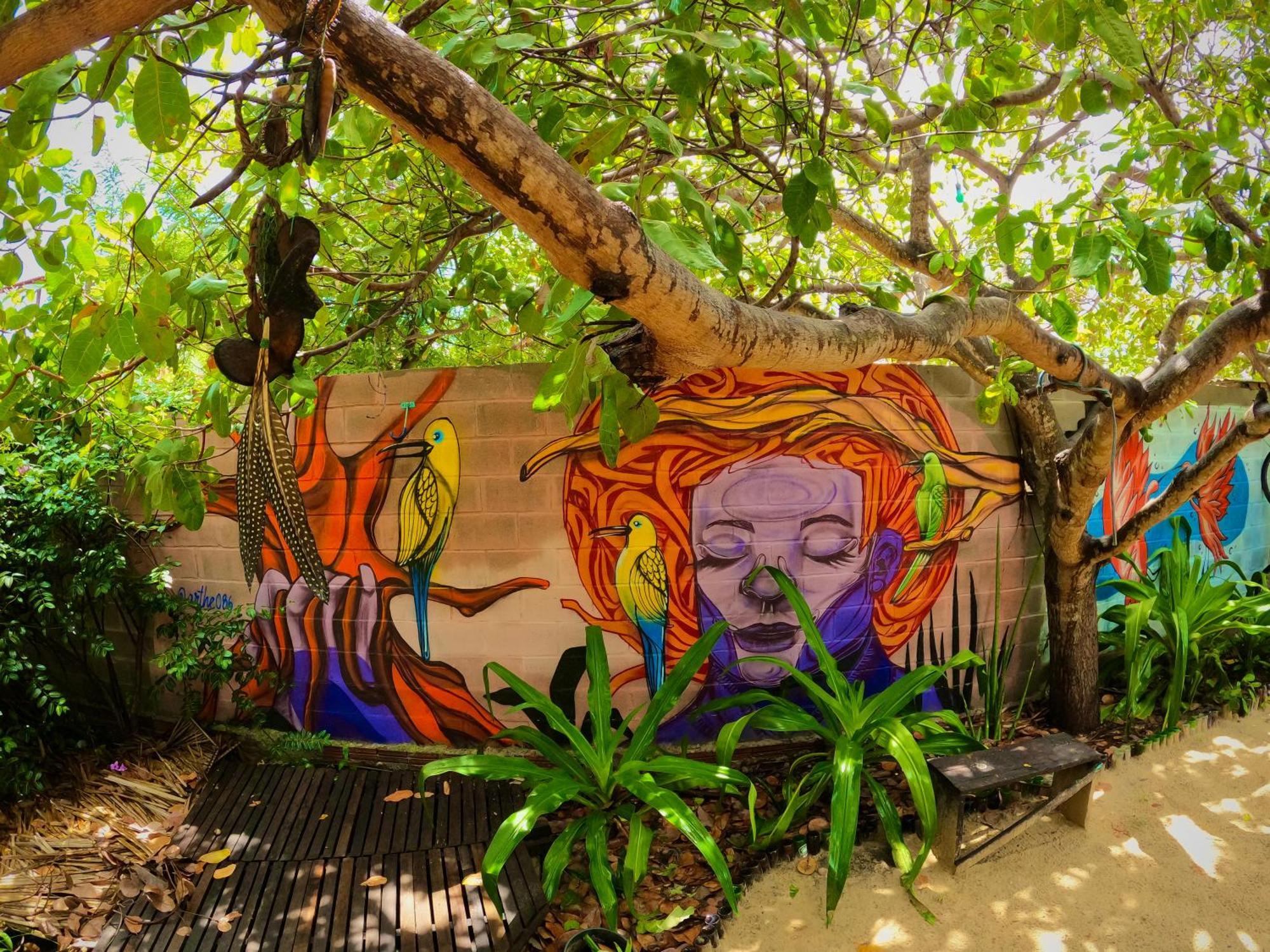Raizes Eco Hostel バーハ・グランデ エクステリア 写真