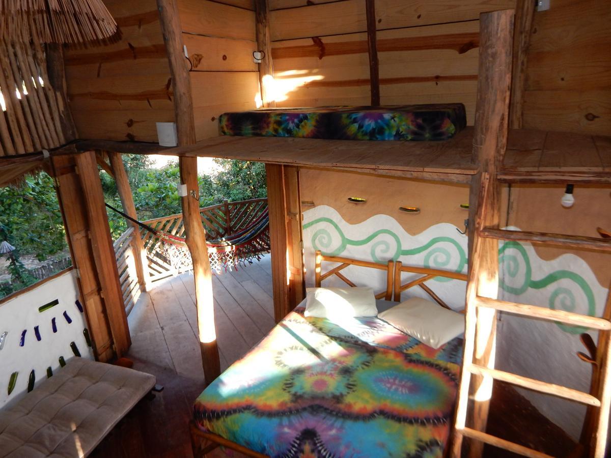 Raizes Eco Hostel バーハ・グランデ エクステリア 写真