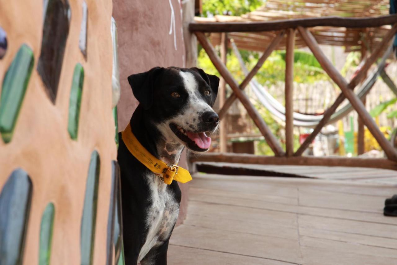 Raizes Eco Hostel バーハ・グランデ エクステリア 写真