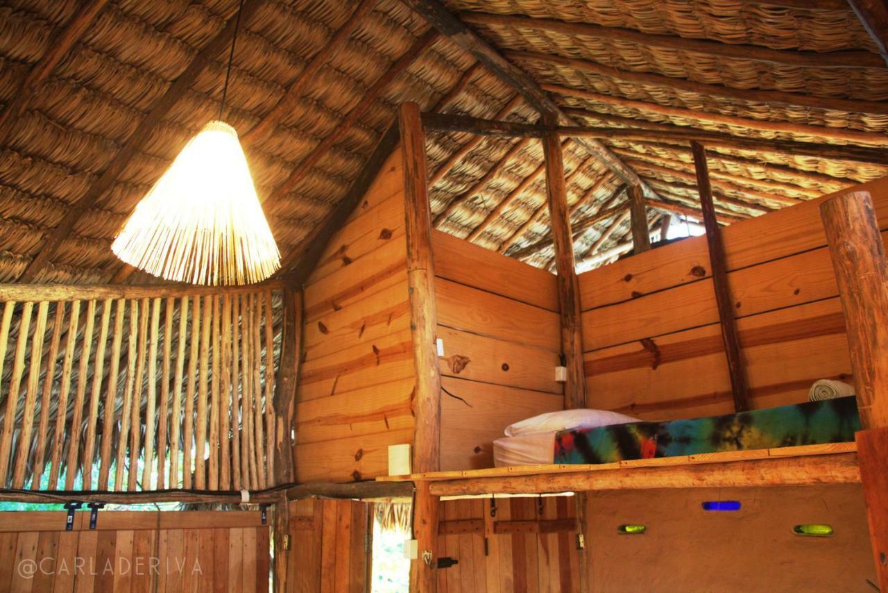 Raizes Eco Hostel バーハ・グランデ エクステリア 写真